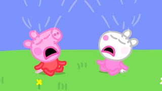 Baby Peppa And Baby Suzy 🍼  Peppa Pig Official Full Episodes [upl. by Yelyab]