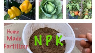 How To Make Organic N P K Fertilizer At Home [upl. by Nobe401]