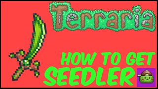 How To Get Seedler Easy In Terraria  Terraria 1449 [upl. by Oiziruam]