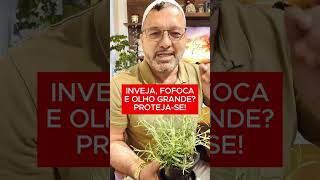 Protejase da fofoca inveja e olho grande olhogrande dicas pegaavisao [upl. by Adlig464]