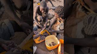 This how Hadza preparing Dogs foodMy Audience asking why dont feed dogsthis special meal for dogs [upl. by Eniotna702]