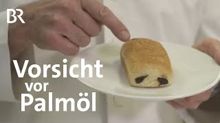 Palmöl Die fette Gefahr  Ernährung  BR [upl. by Platus]