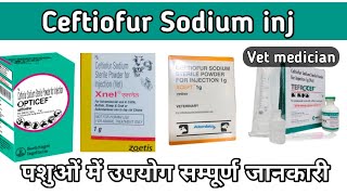 Ceftiofur Sodium inj use in veterinary in hindi [upl. by Ainig]