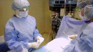 Your Class in 60 Seconds Surgical Technology [upl. by Aivatahs]