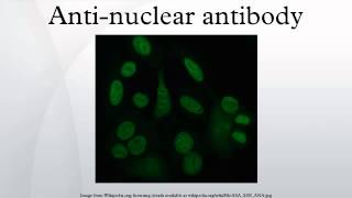 Antinuclear antibody [upl. by Amalbena]