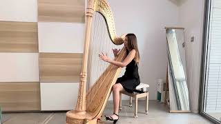 La Source Étude Op 44 Alphonse Hasselmans Harp [upl. by Bryant]