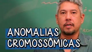 Anomalias Cromossômicas  Extensivo Biologia  Descomplica [upl. by Frager]