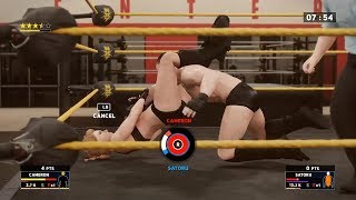 Mixed Wrestling Shoot fight domination [upl. by Alag673]