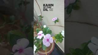 Kehne ko hai mera par meri sunta nhi😒👊🏻 short [upl. by Alissa352]