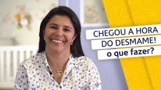 Hora do DESMAME Como fazer a transição alimentar do bebê [upl. by Gnoz]