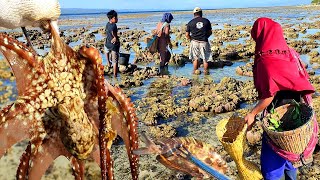 Bersama Warga mencari ikan kerang juga banyak Gurita yang bersarang dilubang batu [upl. by Nyrahs]