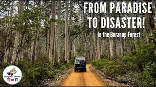 CAMPING ADVENTURES in the BORANUP FOREST with a crazy ending TROOPY  TRAVEL  AUSTRALIA [upl. by Aropizt950]