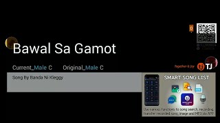 Bawal Sa Gamot  Banda ni Kleggy  Karaoke  HD [upl. by Dohsar]