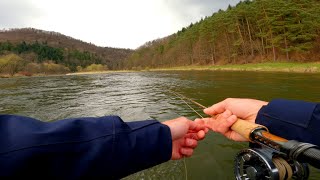 Wędkarstwo muchowe  OS Dunajec Trudne pstrągi [upl. by Dopp]