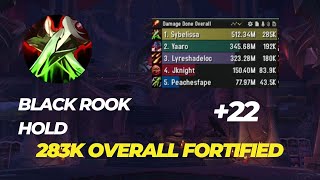 22 Black Rook Hold assassination rogue POV 283k overall bleed build dragonflight 1025 season 3 [upl. by Roseline]