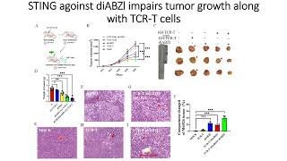 STING agonist DiaBZl along with engineered T cells impairs tumor growth Code 705 [upl. by Ahsitneuq]