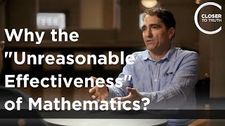 Mark Balaguer  Why the ‘Unreasonable Effectiveness’ of Mathematics [upl. by Elkraps]