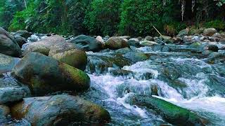 4K Relaxing River  Ultra HD Nature Video  Water Stream amp Birdsong Sounds  SleepStudyMeditate [upl. by Ecirtahs913]