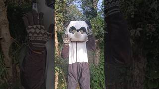 मारो सालों को😂😂😂 funny teddy commedy shorts jocks video [upl. by Mae]