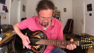 Ovation Elite 12 String [upl. by Codie]