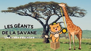 Les Géants de la Savane  Documentaire animalier pour enfant 🦒 [upl. by Idnac178]