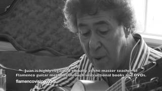 The Juan Martin Flamenco Guitar Masterclass [upl. by Poucher48]