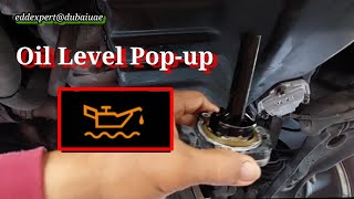 🇵🇭 Oil level popup VW Tiguan Oil level sensor faulty [upl. by Stoddart]