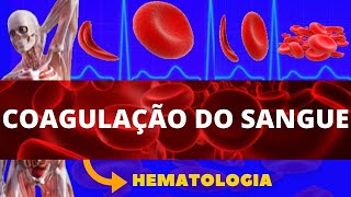 COAGULAÇÃO SANGUÍNEA HEMOSTASIA PRIMÁRIA E SECUNDÁRIA  ENSINO SUPERIOR  FISIOLOGIA SANGUÍNEA [upl. by Neros]