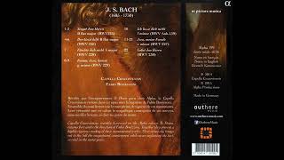 Bach JS  Motets  Bonizzoni [upl. by Borlow]