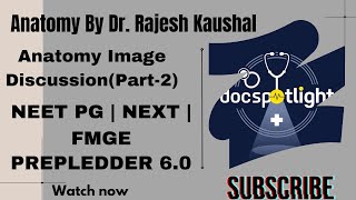 8Anatomy Image DiscussionPart2 Anatomy RR 60📖📚by DrRajesh kaushal youtube neetpgpreperation [upl. by Odnuges367]