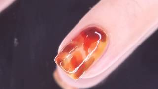 Nail Art  Tortoiseshell Nail Art Set by Cirque Colors [upl. by Gayleen]