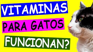 ¿Realmente FUNCIONAN las VITAMINAS para GATOS Mitos y verdades [upl. by Rotce]