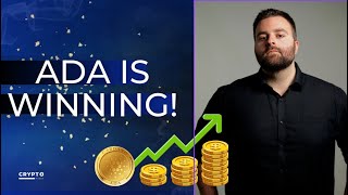 CARDANO NEWS  15 CARDANO [upl. by Noirb]