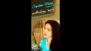 Sepalika Malai  සේපාලිකා මලයි   Cover by Neranja Kotalawala  shorts Neranja MadukaEranga [upl. by Humfried]