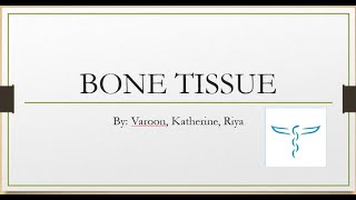 ISU  3 Bone Tissue [upl. by Saraann]