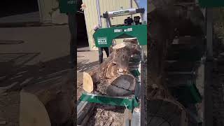 Extreme Dangerous Fastest Big Chainsaw Cutting Tree Machines [upl. by Aiker]