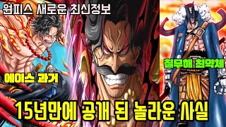 원피스 새로운 최신정보15년만에 공개 된 놀라운 사실들 quot에이스 VS 도마뱀 왕quot 해군대장 최상명검 최초공개 [upl. by Ahtel]