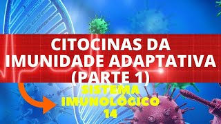 CITOCINAS NA IMUNIDADE ADAPTATIVA PARTE 1  IMUNOLOGIA SISTEMA IMUNOLÓGICO  ENSINO SUPERIOR [upl. by Norman]