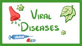 GCSE Biology  What Is a Virus  Examples of Viral Disease HIV Measles amp TMV 36 [upl. by Ennaeilsel]