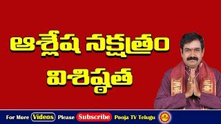 ఆశ్లేష నక్షత్రం విశిష్ఠత  Ashlesha Nakshatra Importance  Ashlesha Nakshatram  Pooja Tv Telugu [upl. by Ainecey199]