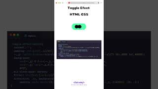 toggle css html css toggle htmlcss zaicode coding code programming csstricks shorts [upl. by Noemad]