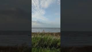 Beautiful morning at Candy Abshier Wildlife Management Area texascoast nature [upl. by Bloem382]