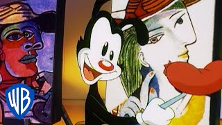 Animaniacs  The Warners and Picasso  Classic Cartoon  WB Kids [upl. by Bortz]