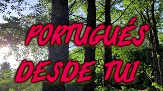 CAMINO PORTUGUÉS DESDE TUI [upl. by Trevar258]