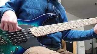 Dingwall Combustion 5string  Whalepool Burst [upl. by Still662]