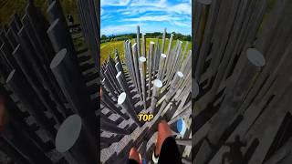 Never Climb Such Poles shortsvideo [upl. by Eiramlehcar]