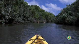 Kayak Kauai  5 hour Blue Lagoon Tour Extra [upl. by Eelarual]