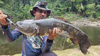 Extreme fishing expedition for Wolf fish  Deep in the jungle of Suriname [upl. by Ahsekyt]