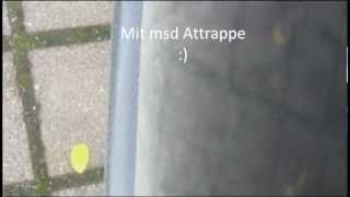 Golf 5 GTI Msd Attrappe Sound [upl. by Durware712]