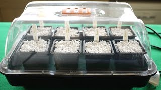 How To Use A Heated Propagator [upl. by Euqinomad]